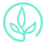 Cultivate Capabilities | Brisbane Gallup CliftonStrengths Coaching and Development