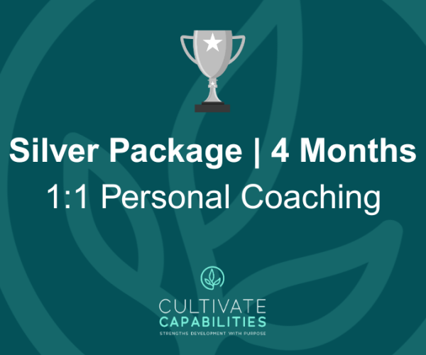 “Silver” – 1 on 1 Coaching Plan for 4 months