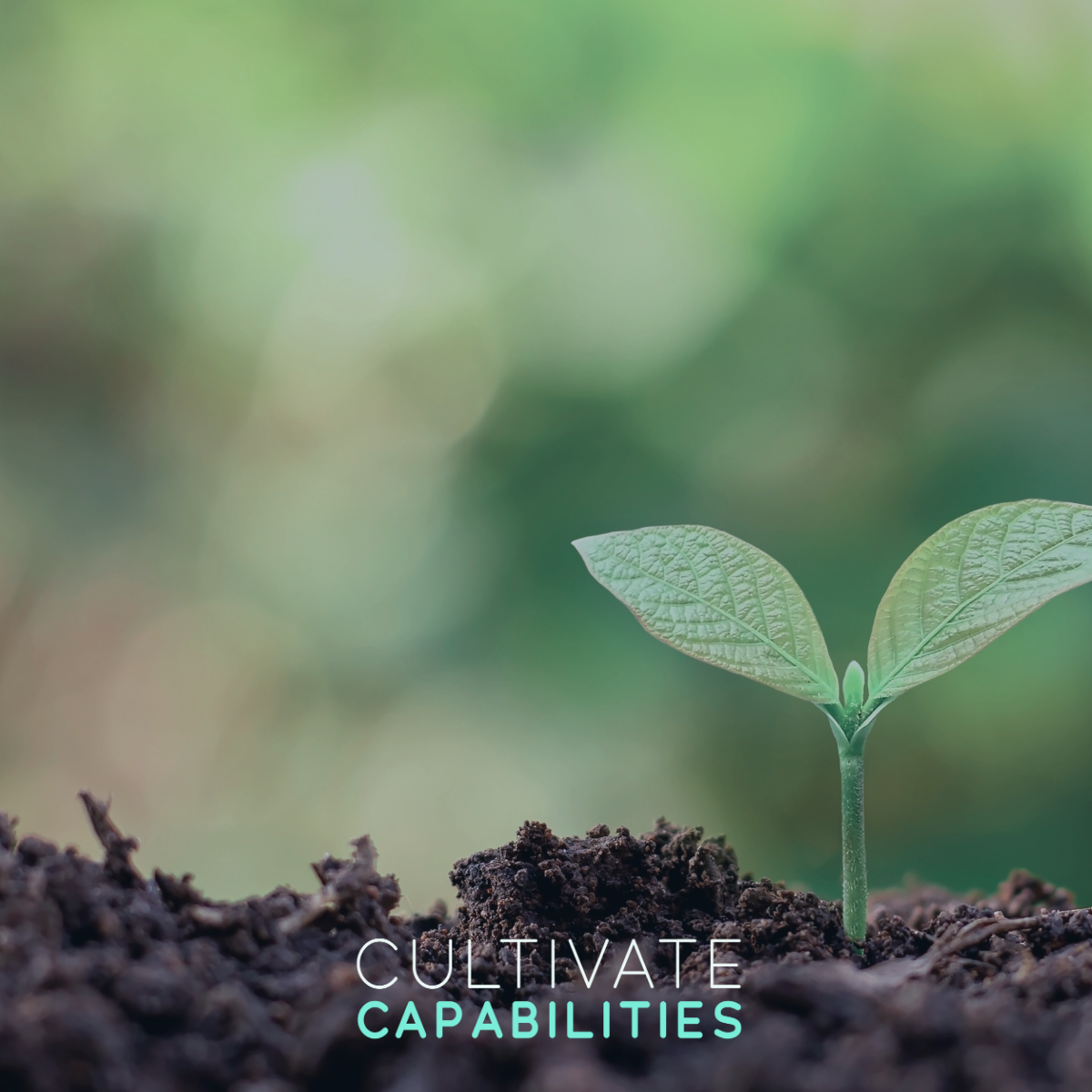 Cultivate Capabilities Team