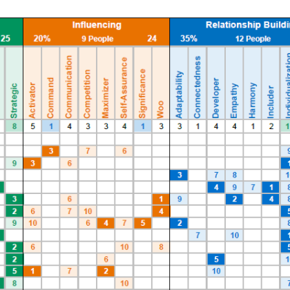 CliftonStrengths Team Grid Reports